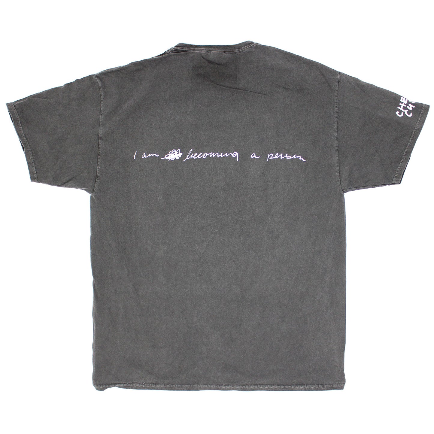 Chelsea Cutler How To Be Human Oversized Tee Vintage T-shirt Back