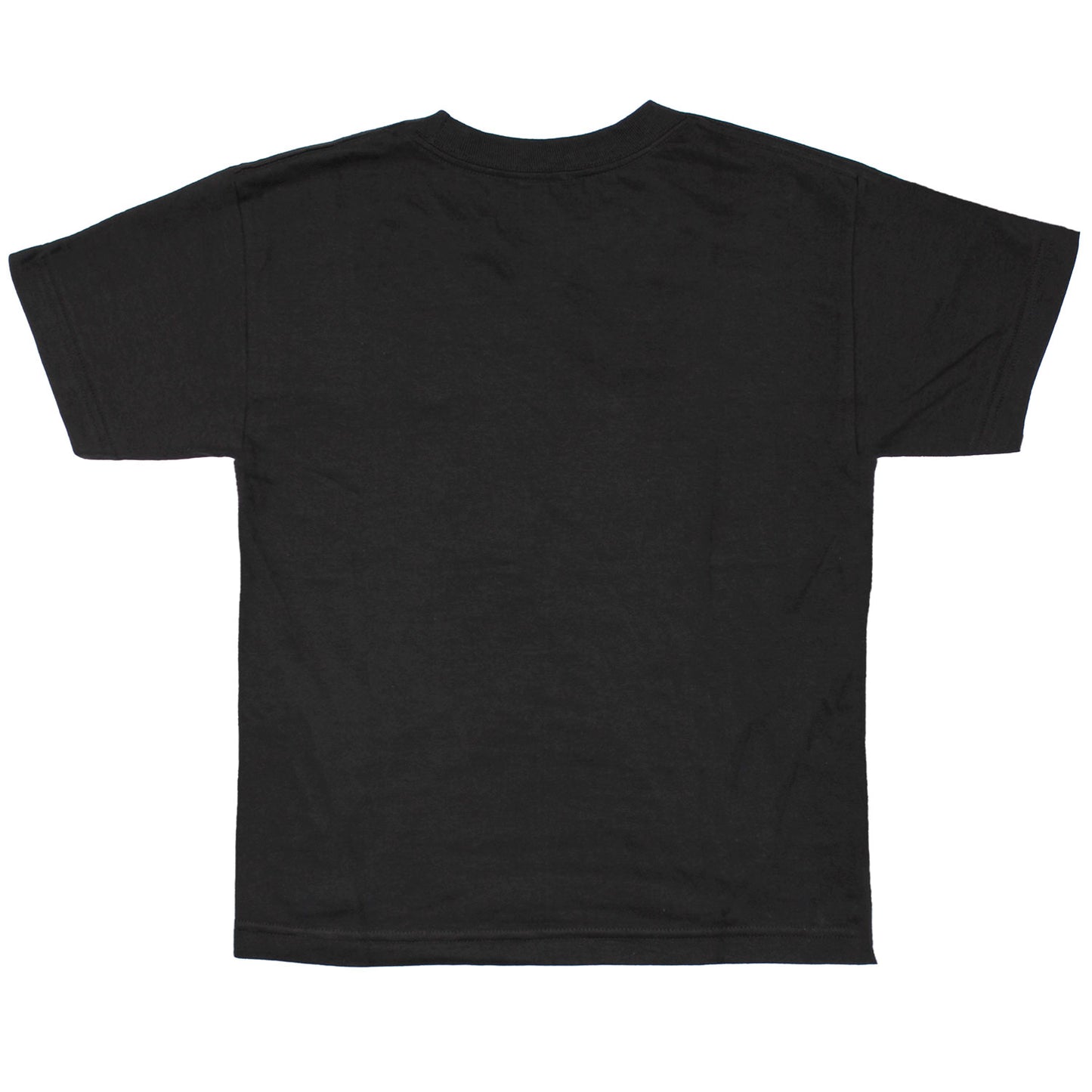 Beatles Distressed Drop T Logo on Youth Shirt T-shirt Back