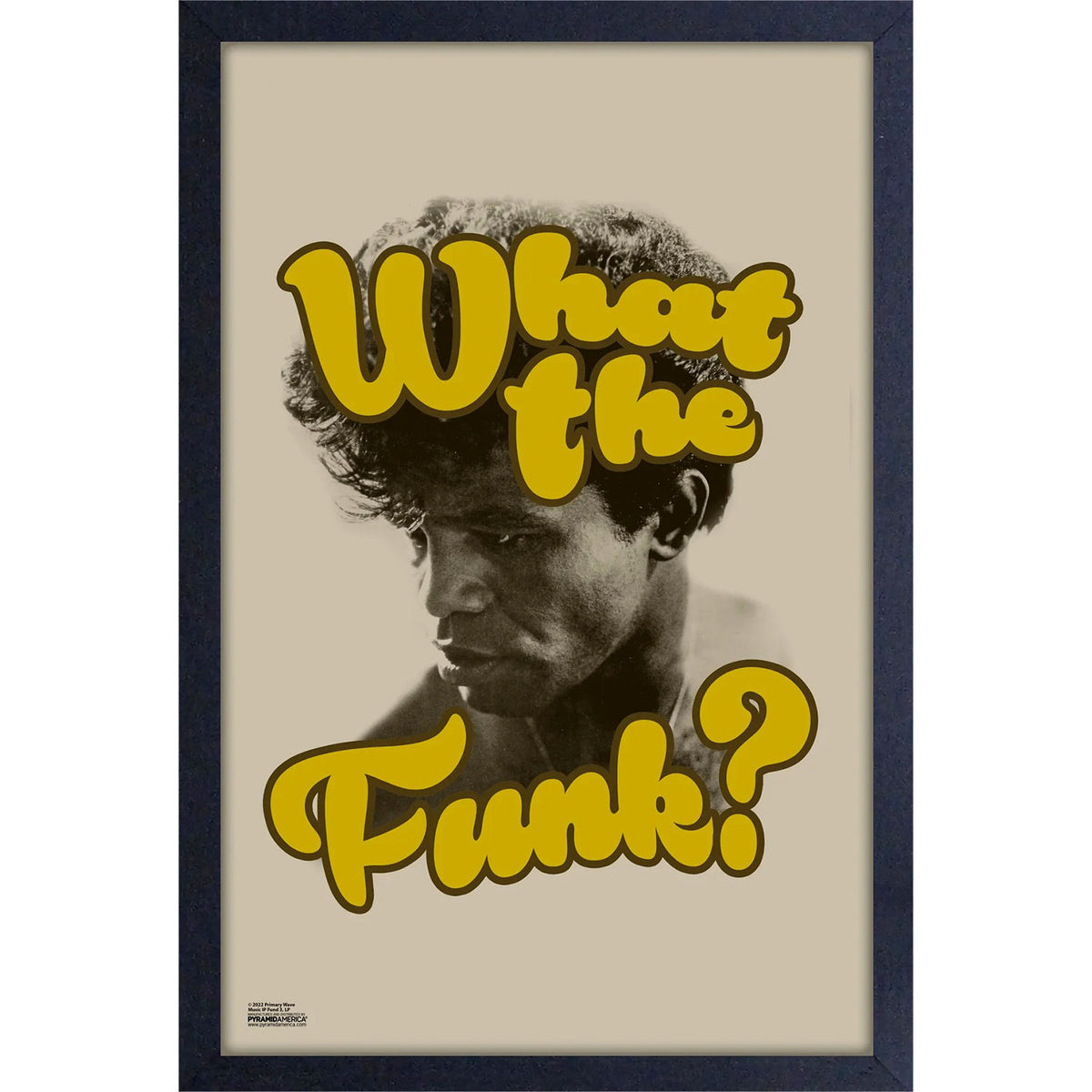 James Brown What the Funk Framed Wall Art Front