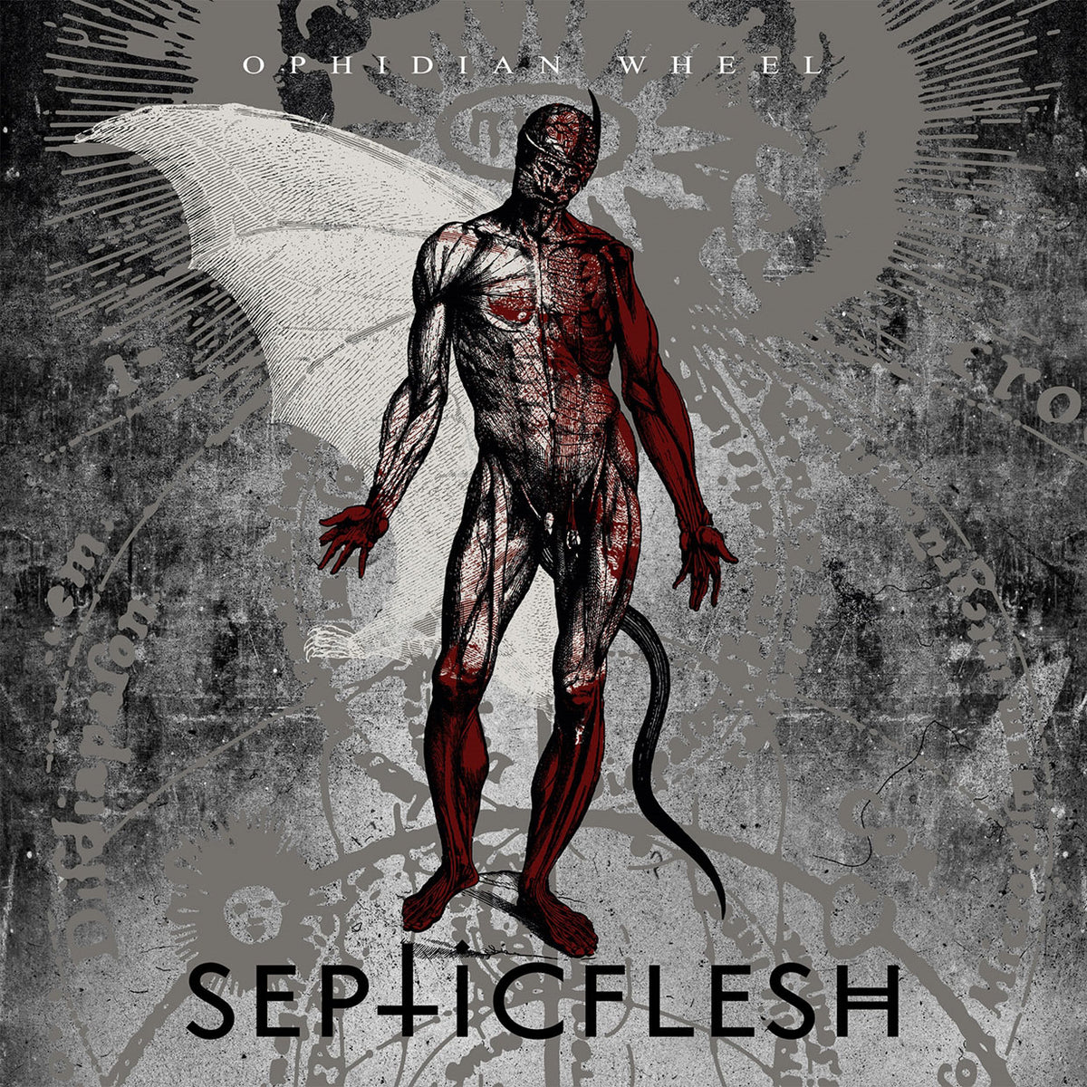 Septic Flesh Ophidian Wheel (re-issue) Compact Disc CD Front