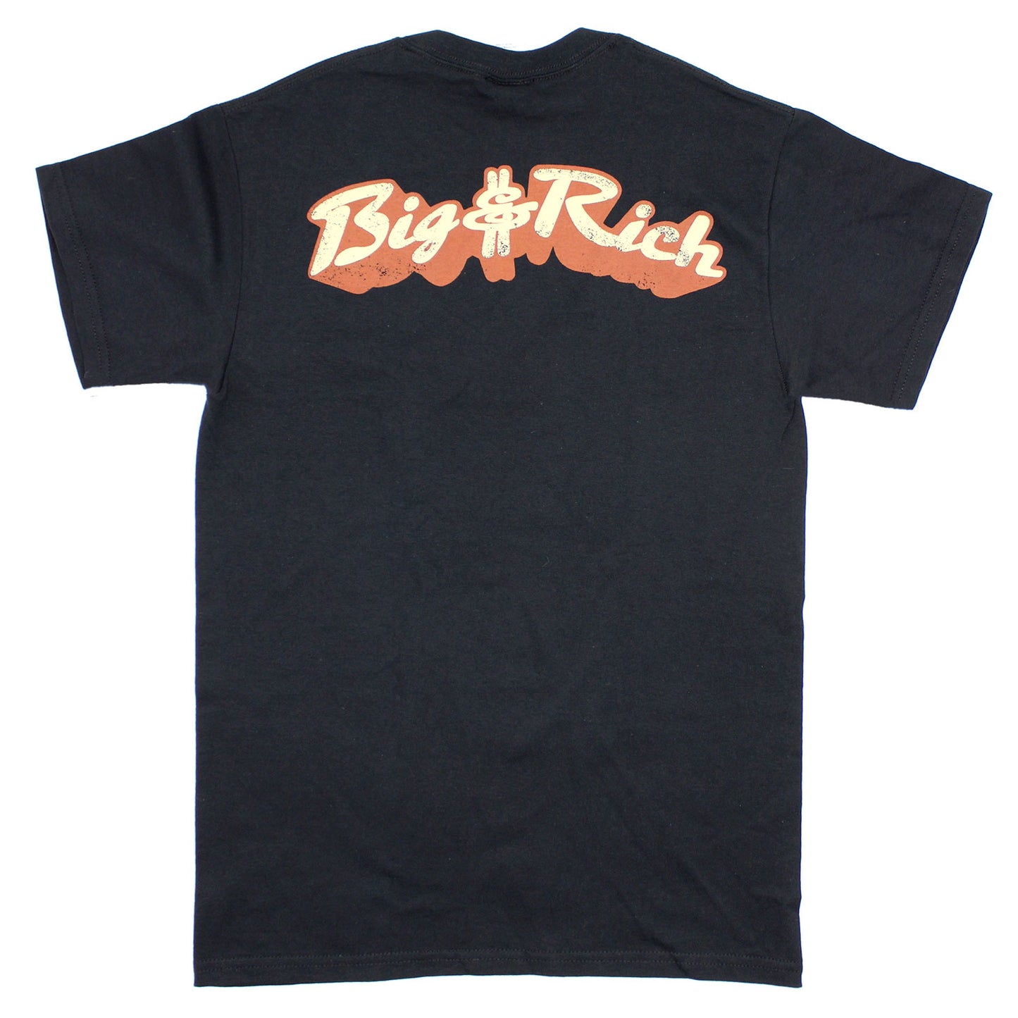 Big & Rich Save A Horse Ride A Cowboy T-shirt Back