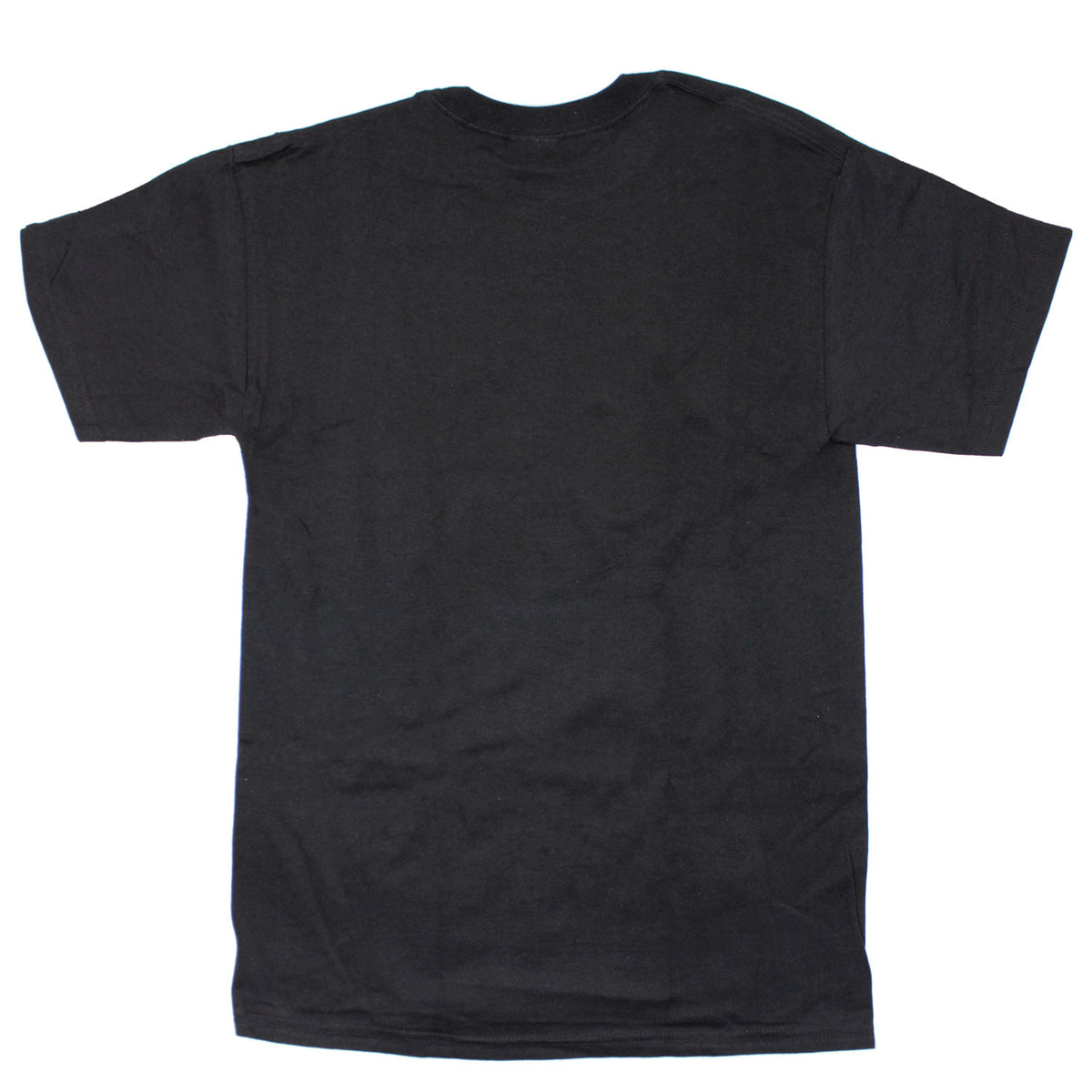 Led Zeppelin First N.A. Tour 1969 Tee T-shirt Back