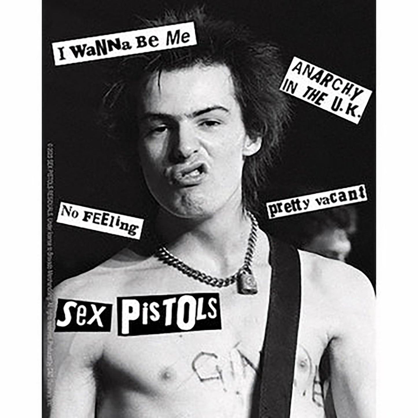 Sex Pistols Sid Vicious Sticker Front