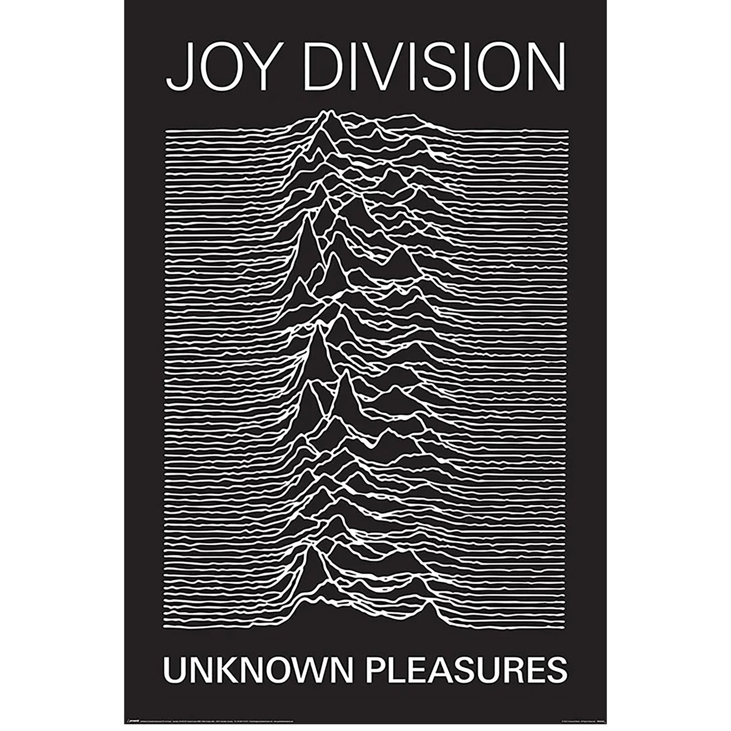 Unknown Pleasures Domestic Poster