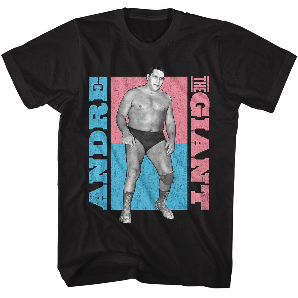 Andre The Giant Atg Color Blocks T-shirt Front