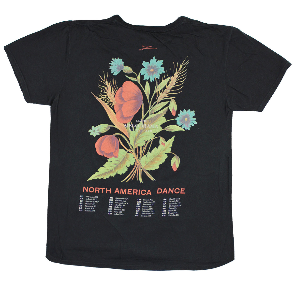 Lorde I Know This Story By Heart North America Dance Slim Fit T-shirt Back
