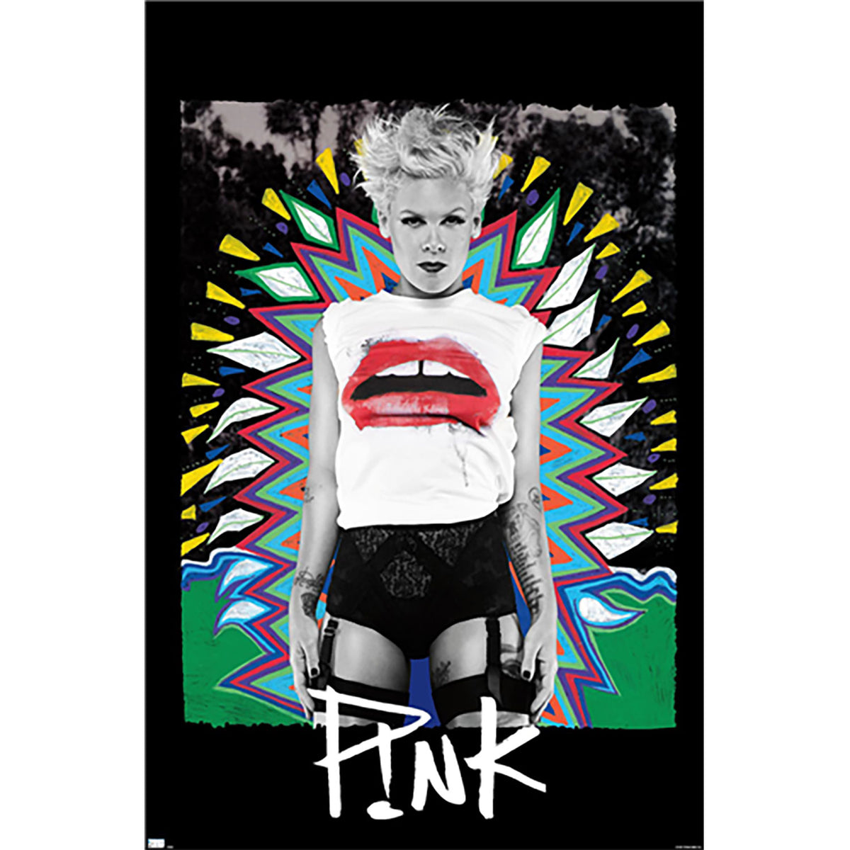 Pink Lips Domestic Poster Front