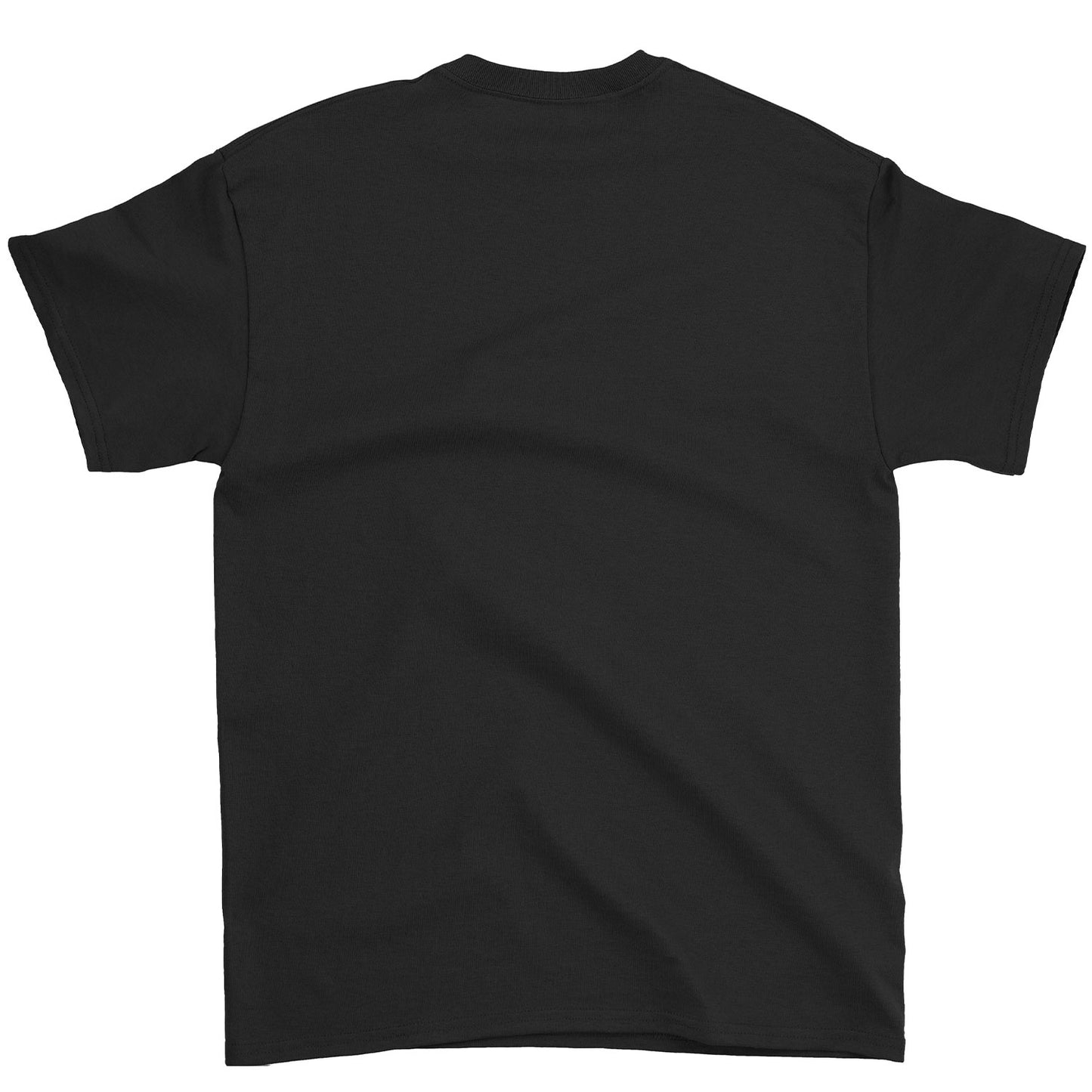 Flipper Still Rules T-shirt Back