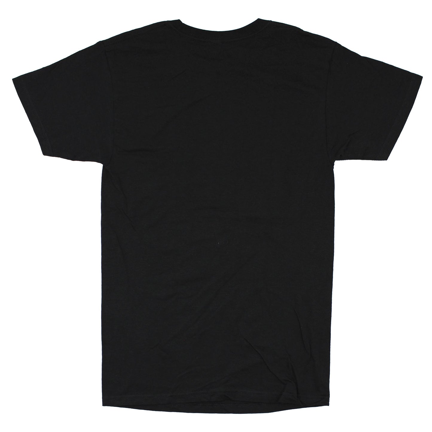 Blues Traveler Circle Cat T-shirt Back