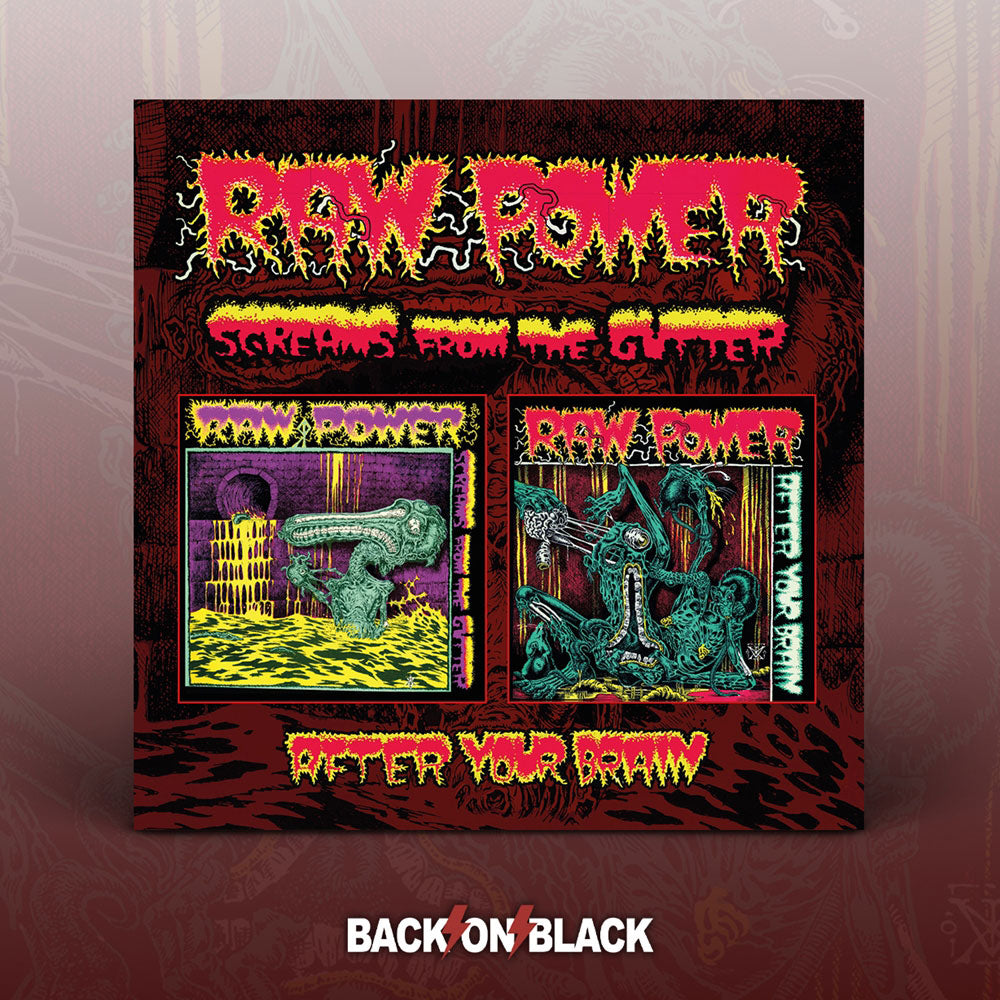 Raw Power Screams From The Gutter / After Your Brain Compact Disc CD Front