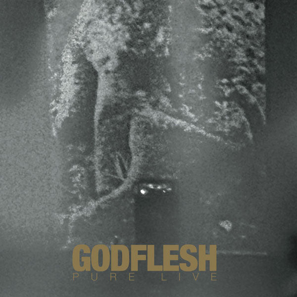 Godflesh Pure: Live (gold W/ Gold And White Splatter Vinyl) Vinyl Double Album Vinyl Front