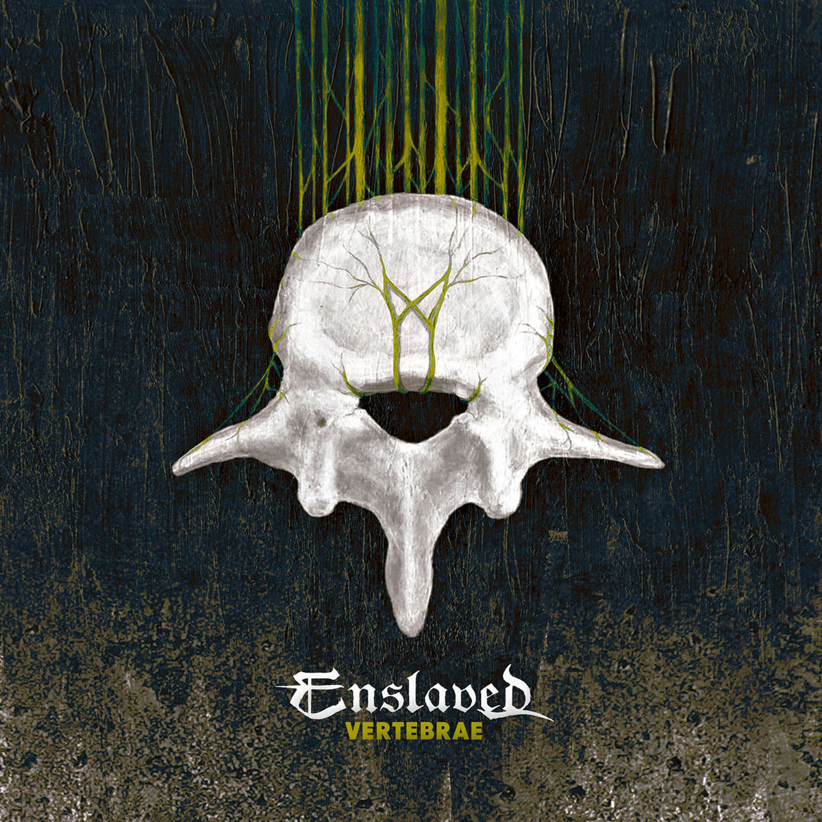 Enslaved Vertebrae (re-issue) Compact Disc CD Front