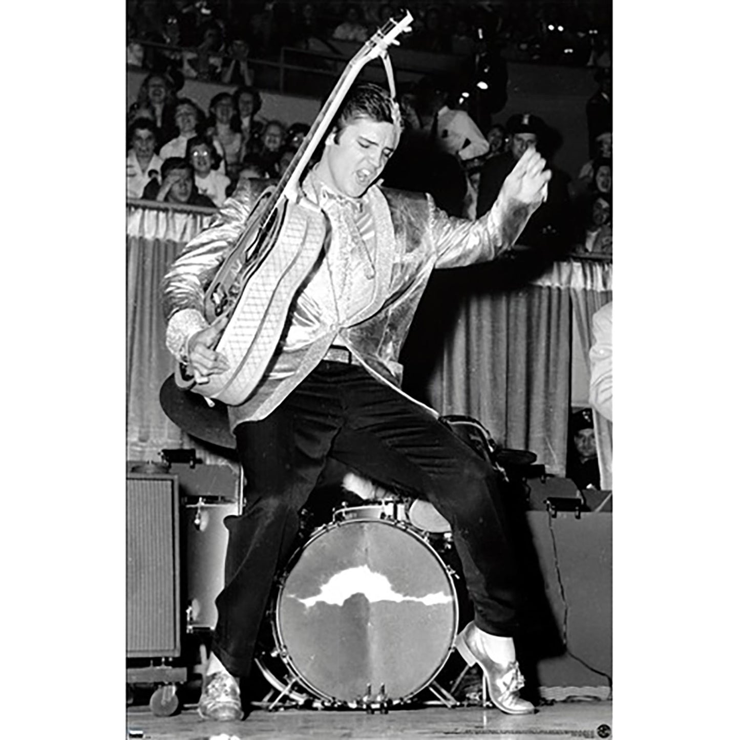 Elvis Presley Hips Domestic Poster