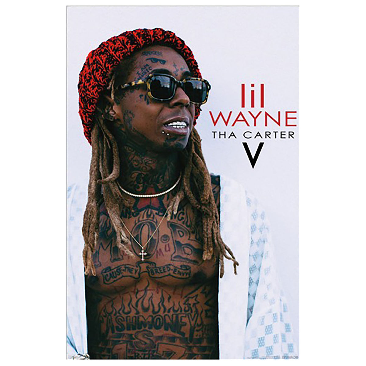 Lil Wayne Carter V Domestic Poster Front