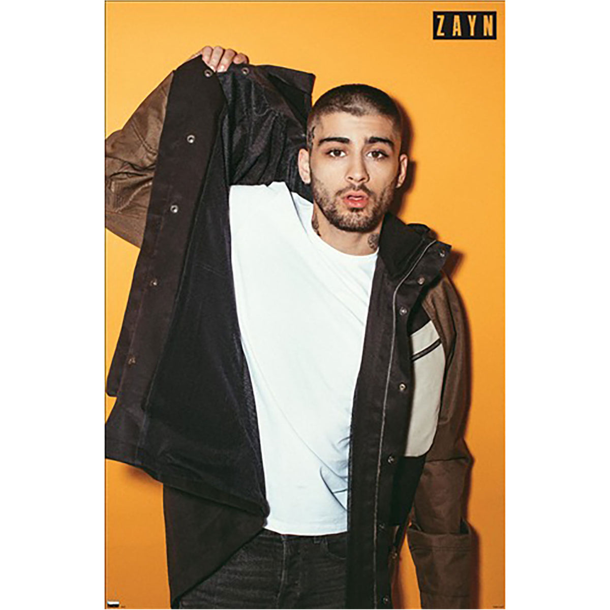 Zayn Portrait Domestic Poster Front