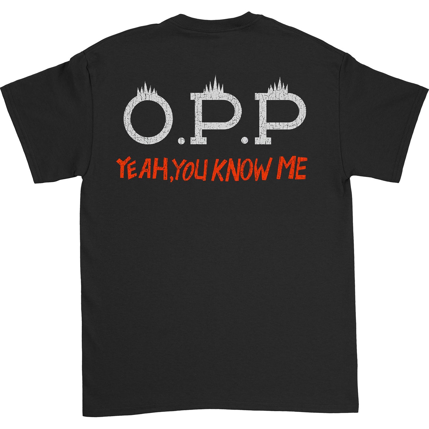 Naughty By Nature OPP by Screen Stars Best Vintage T-shirt Back