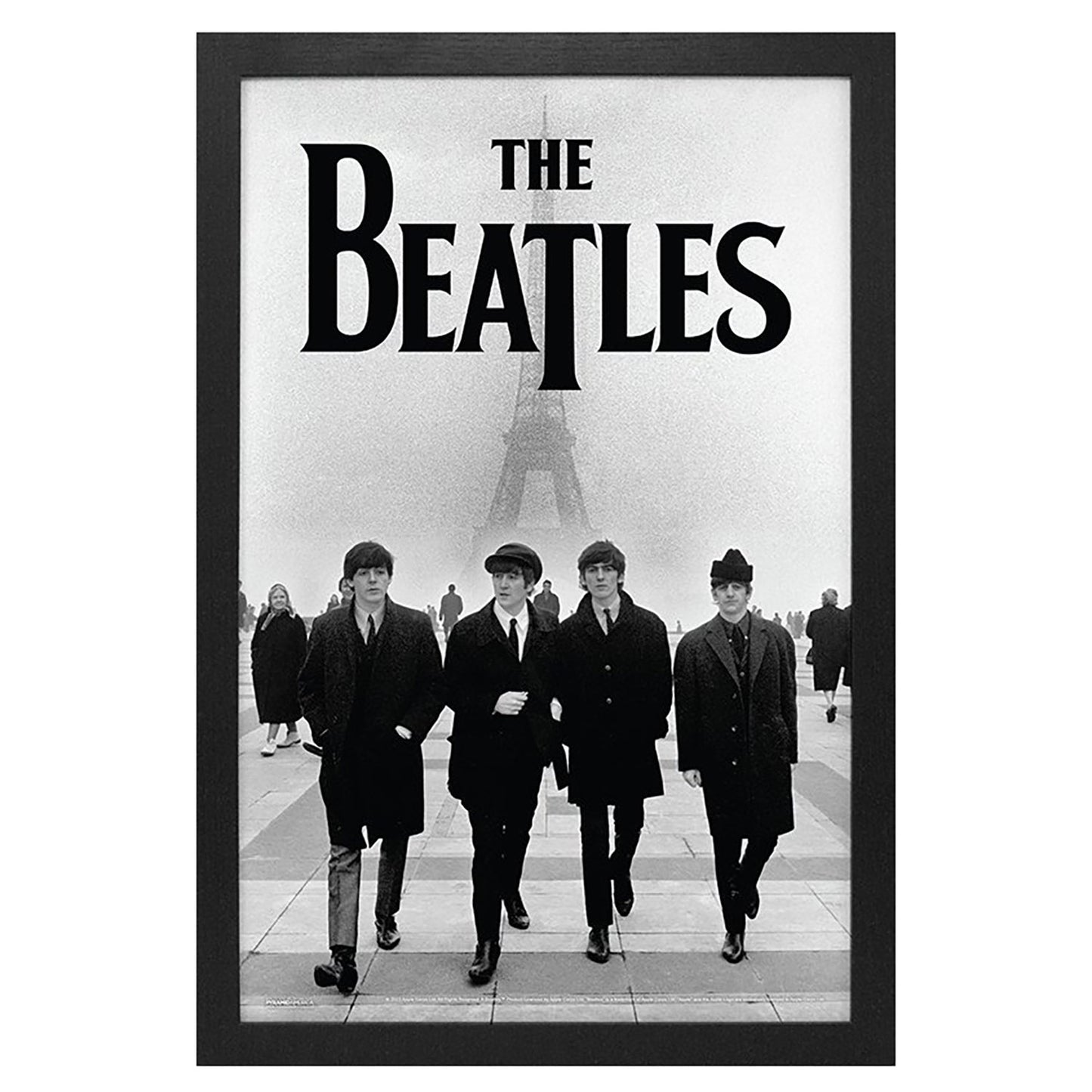 Eiffel Tower Framed Wall Art