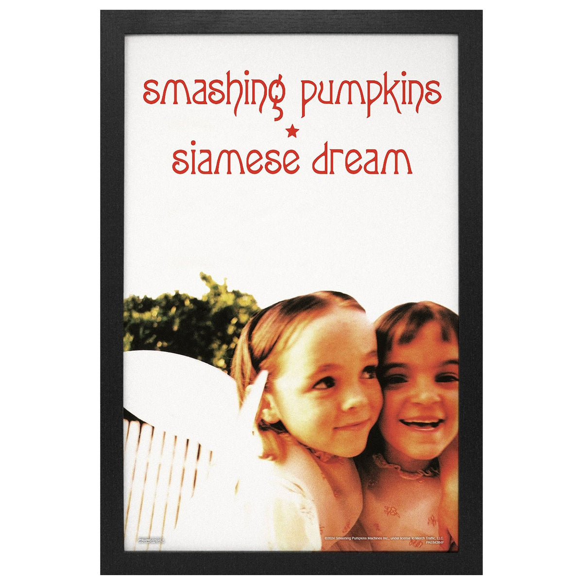 Smashing Pumpkins Siamese Dream Framed Wall Art Front