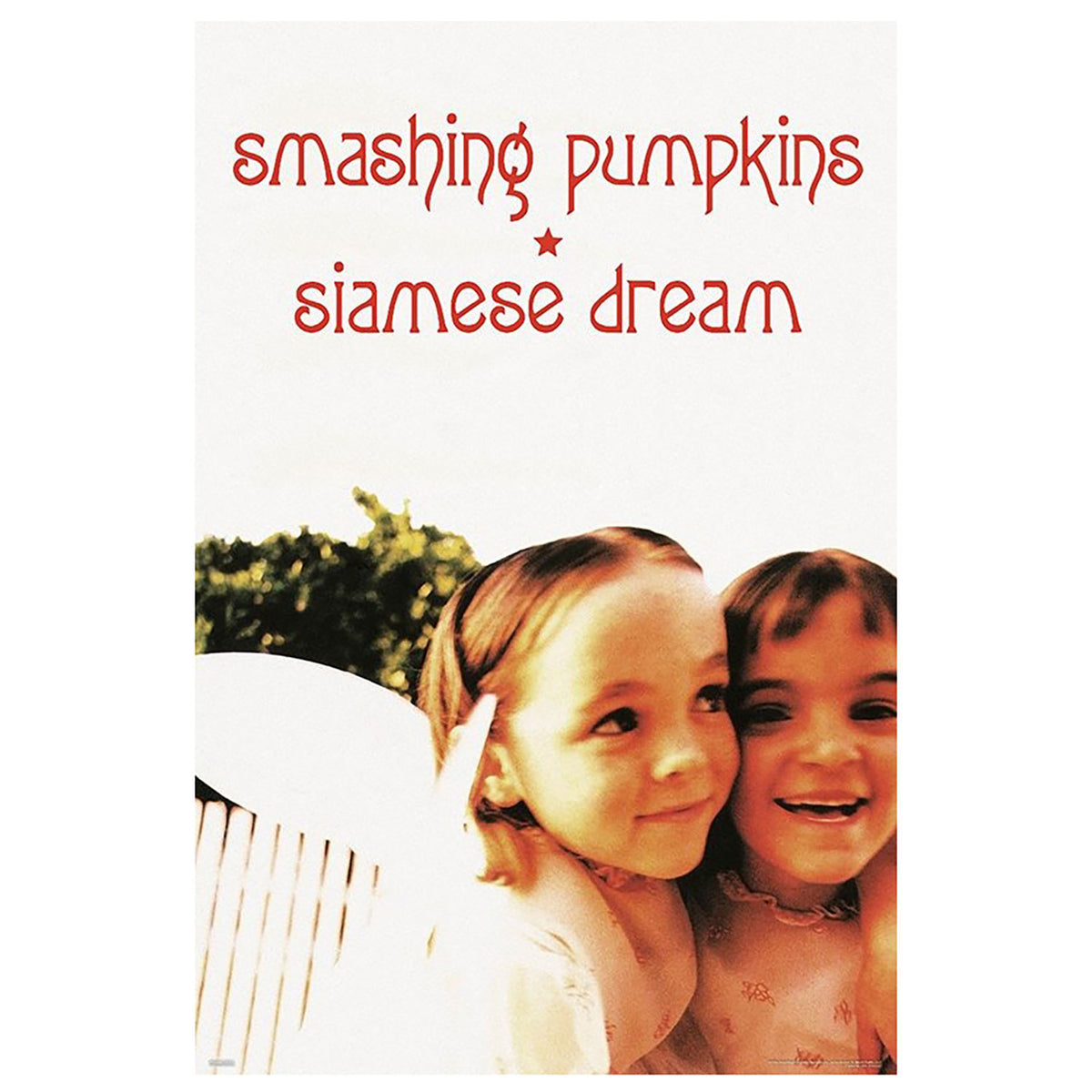 Smashing Pumpkins Siamese Dream Domestic Poster Front