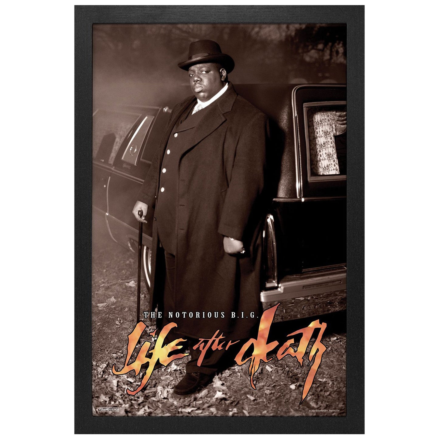 Life After Death Framed Wall Art