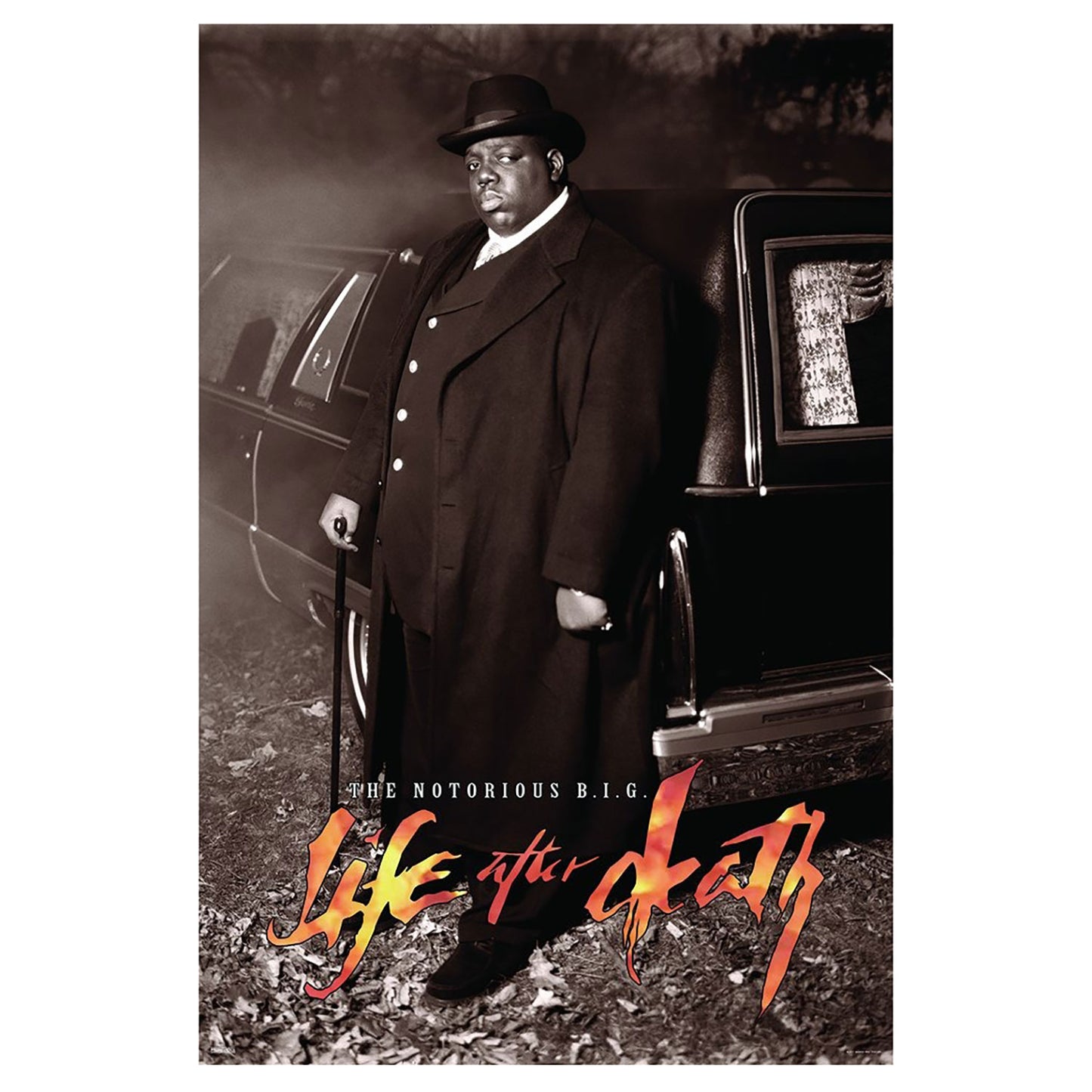 Life After Death Domestic Poster