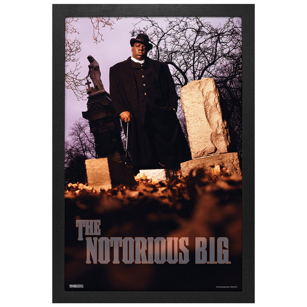 Notorious B.I.G. Cemetary Framed Wall Art Front