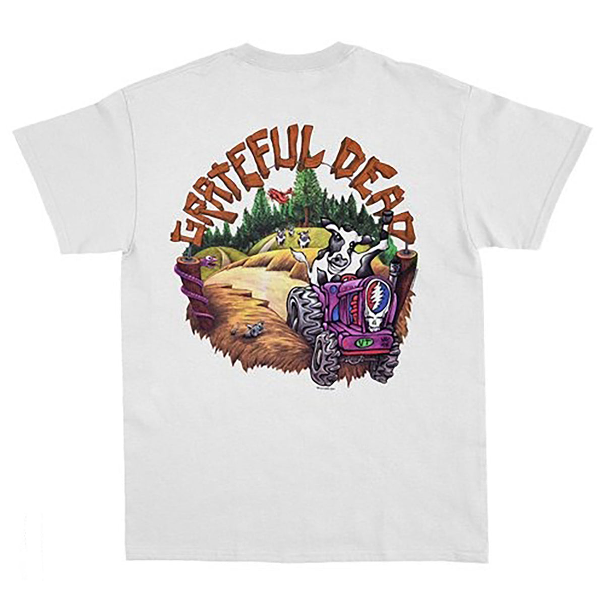 Grateful Dead Highgate T-shirt Back