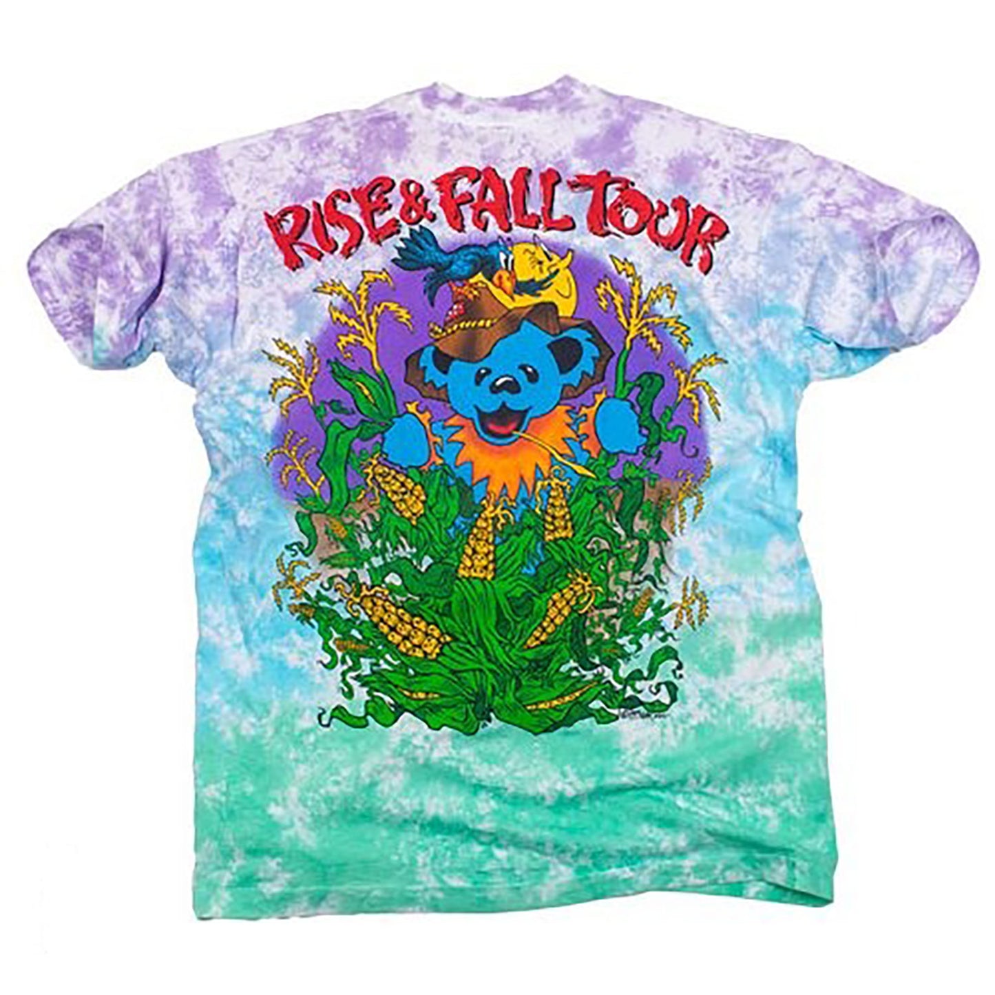 Grateful Dead Hayride 93 Rise & Fall Tour Tie Dye T-shirt Back