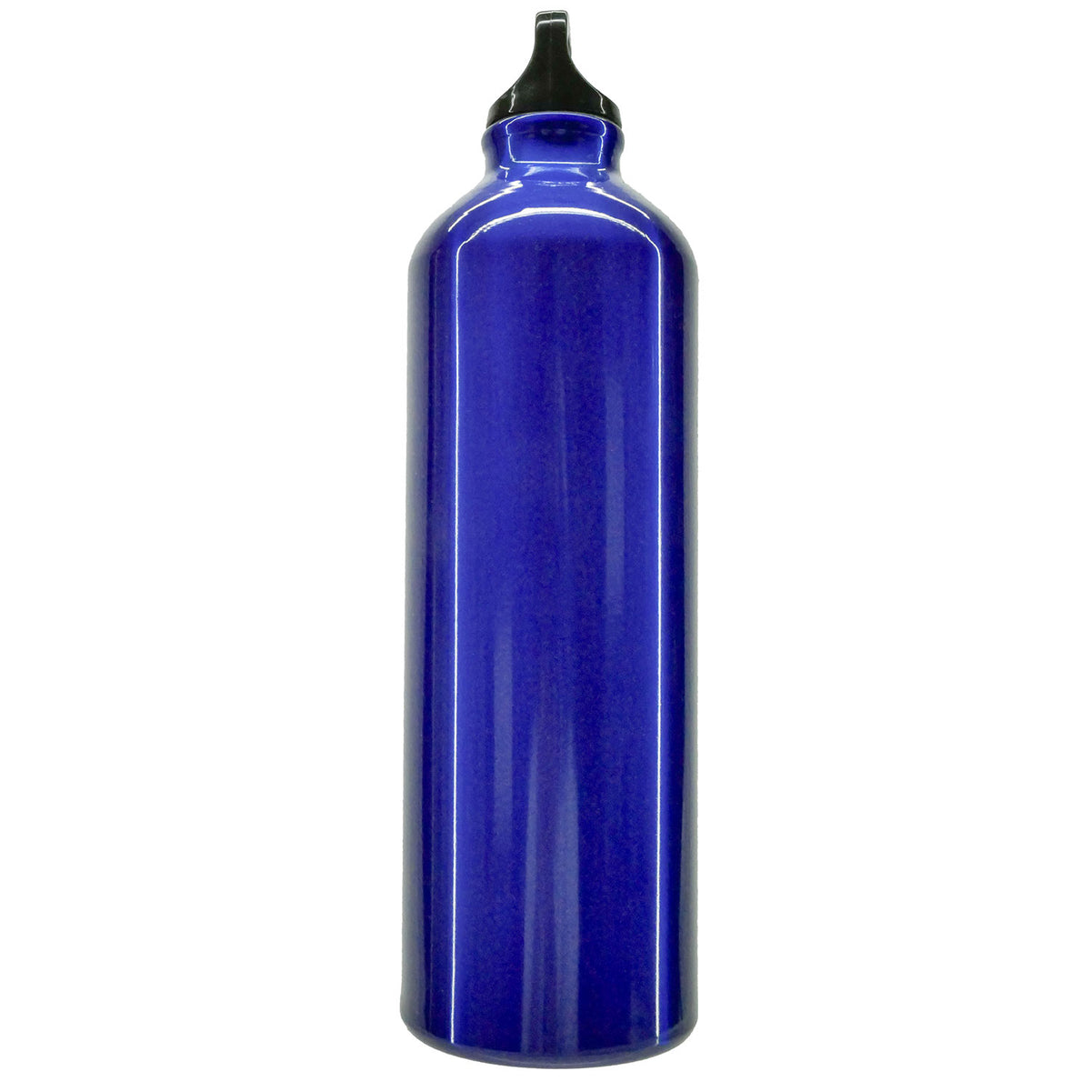 No Doubt Tragic Kingdom Water Bottle Back
