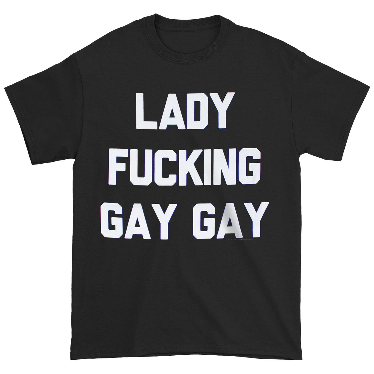 Lady Gaga Lady Fucking Gay Gay T-shirt Front
