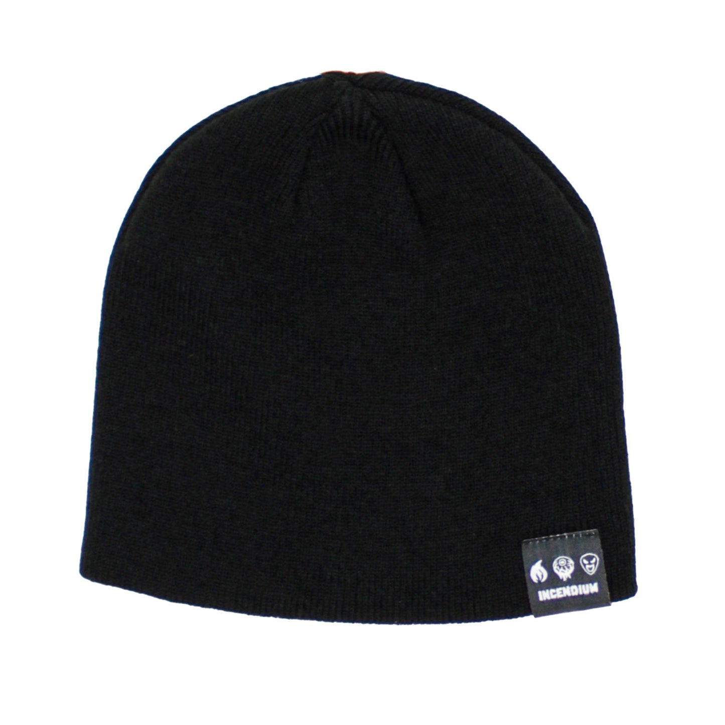 Joe Satriani Crystal Planet Ltd Beanie Hat Beanie Back