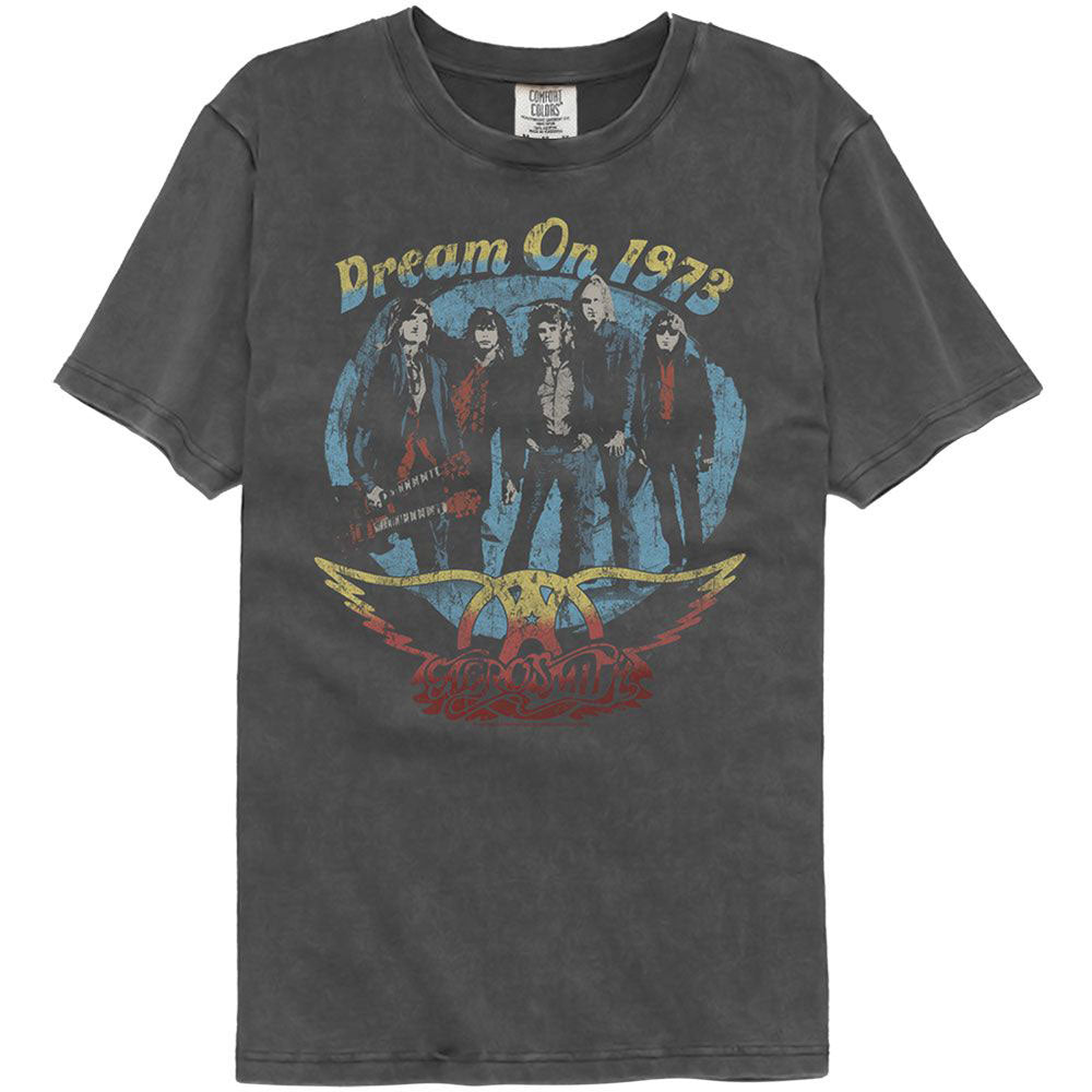 Aerosmith Dream On Washed T-shirt Front