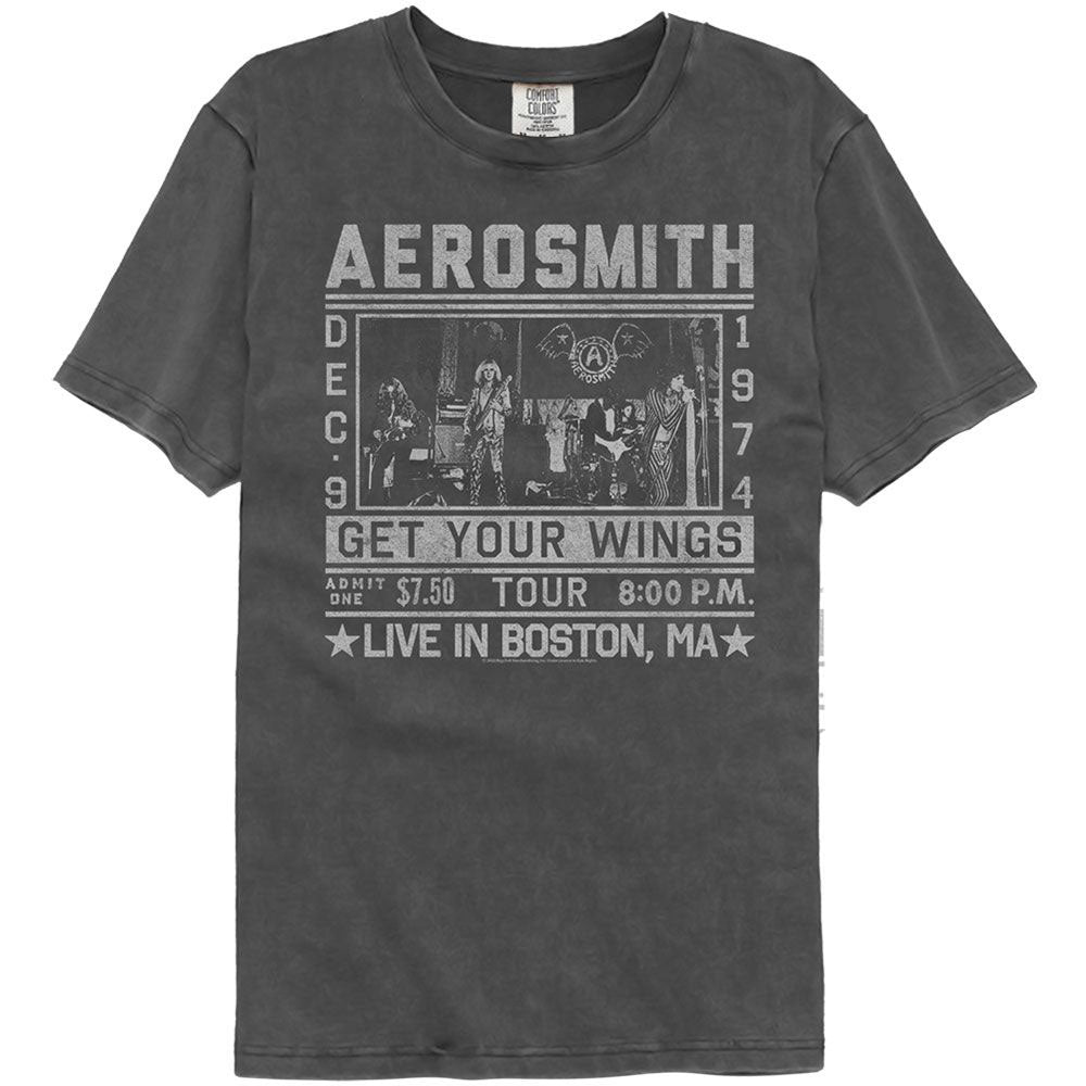 Aerosmith Wings Tour 74 Washed T-shirt Front