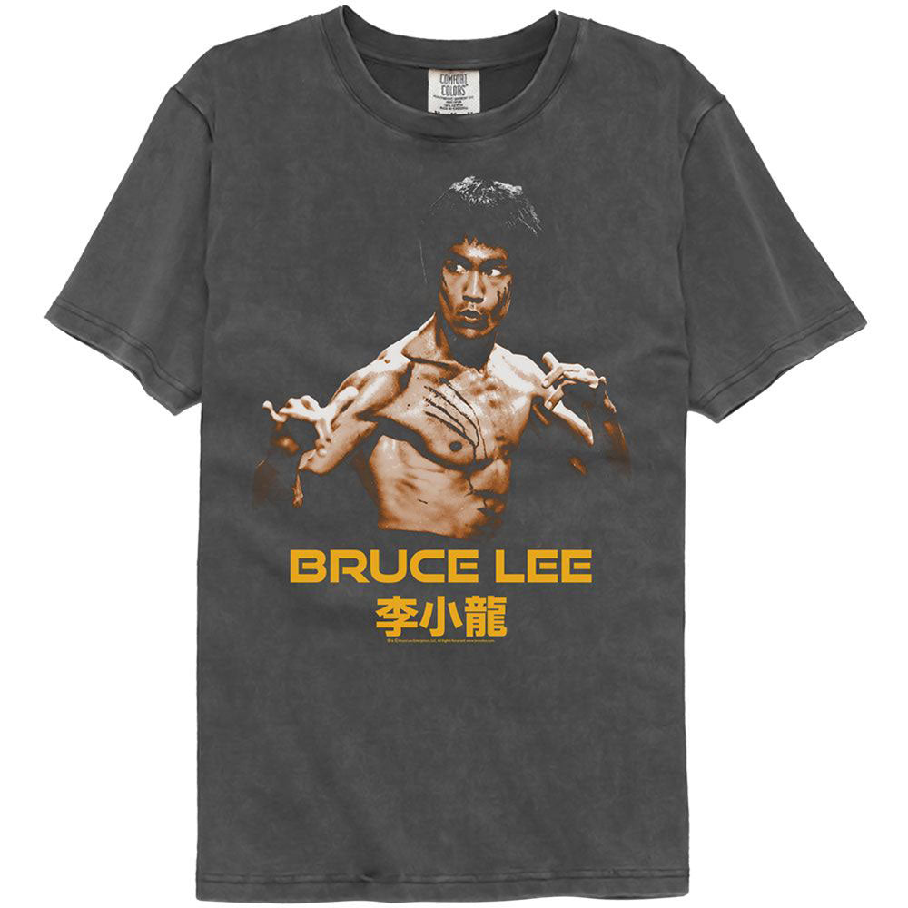 Bruce Lee Ready Stance Washed T-shirt Front