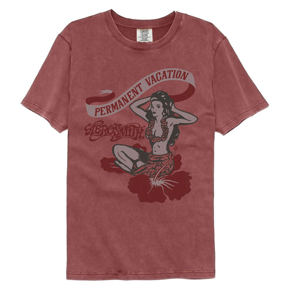 Aerosmith Pv Comfort Color T-shirt Front