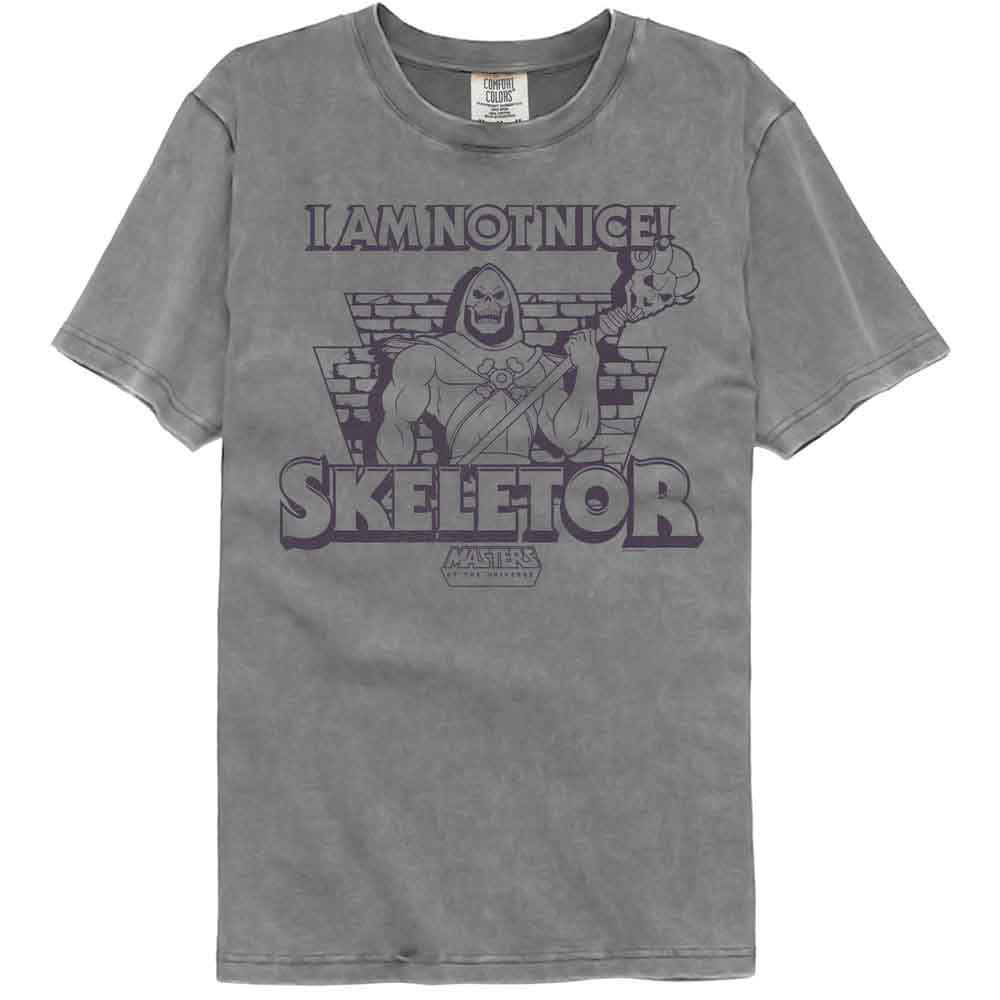Masters Of The Universe Motu Not Nice Skeletor Comfort Color T-shirt Front