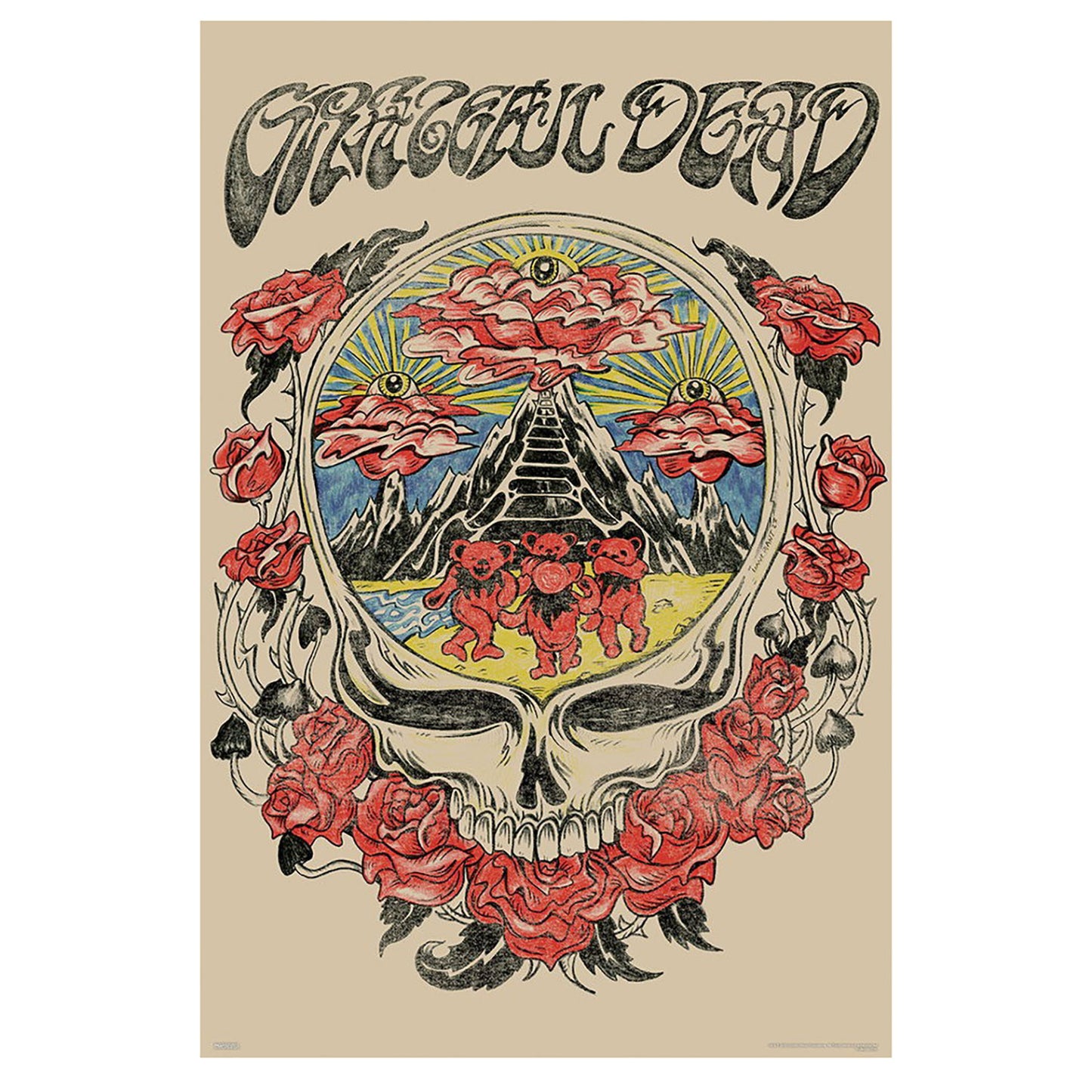 Grateful Dead Skull Vision Domestic Poster Front