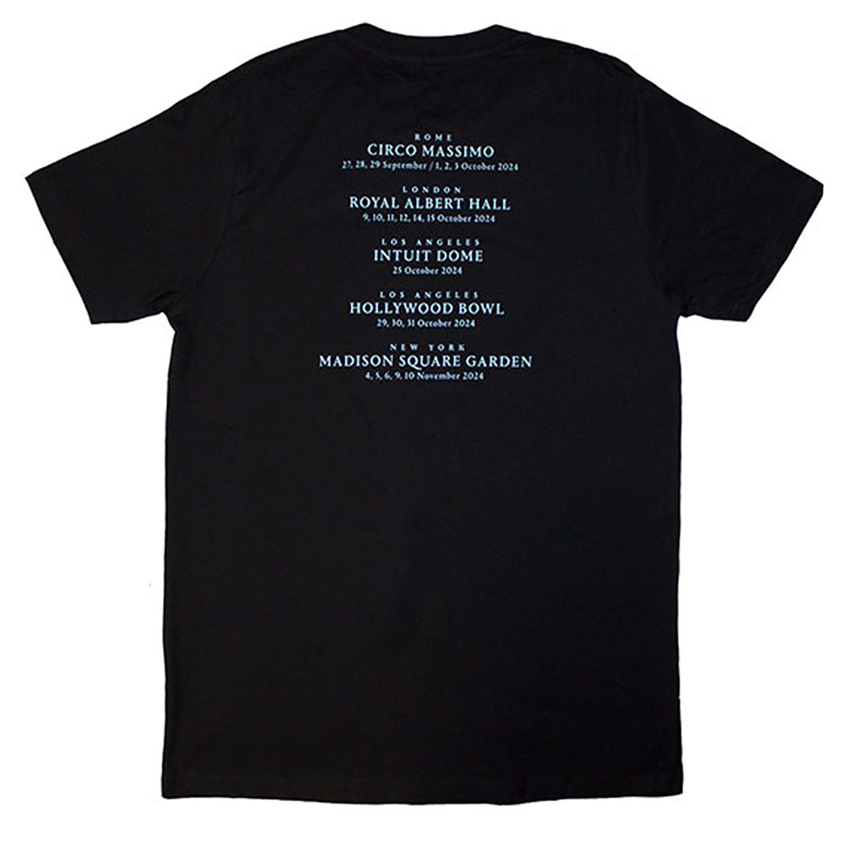 David Gilmour Luck & Strange Rome T-shirt Back