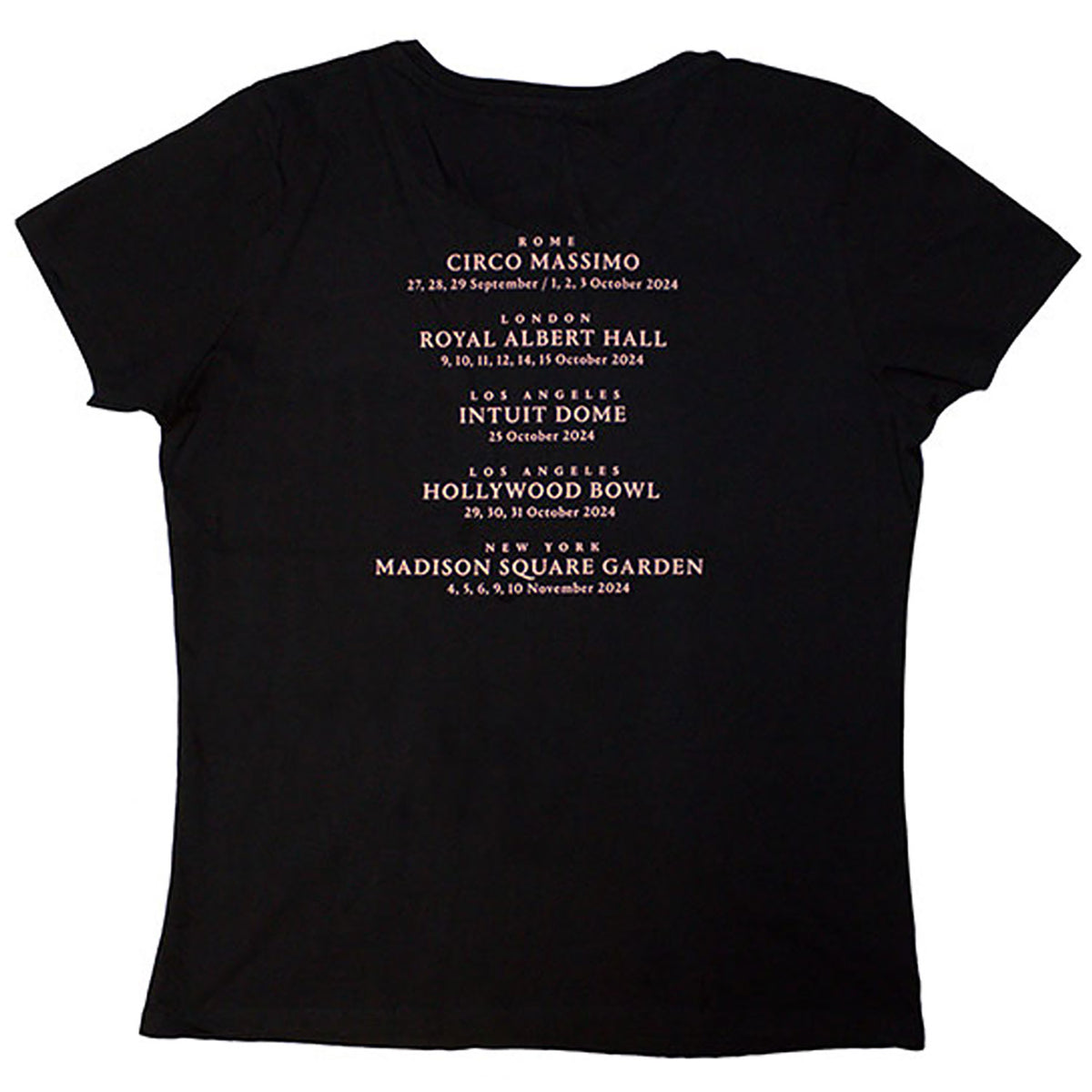 David Gilmour Luck & Strange London T-shirt Back