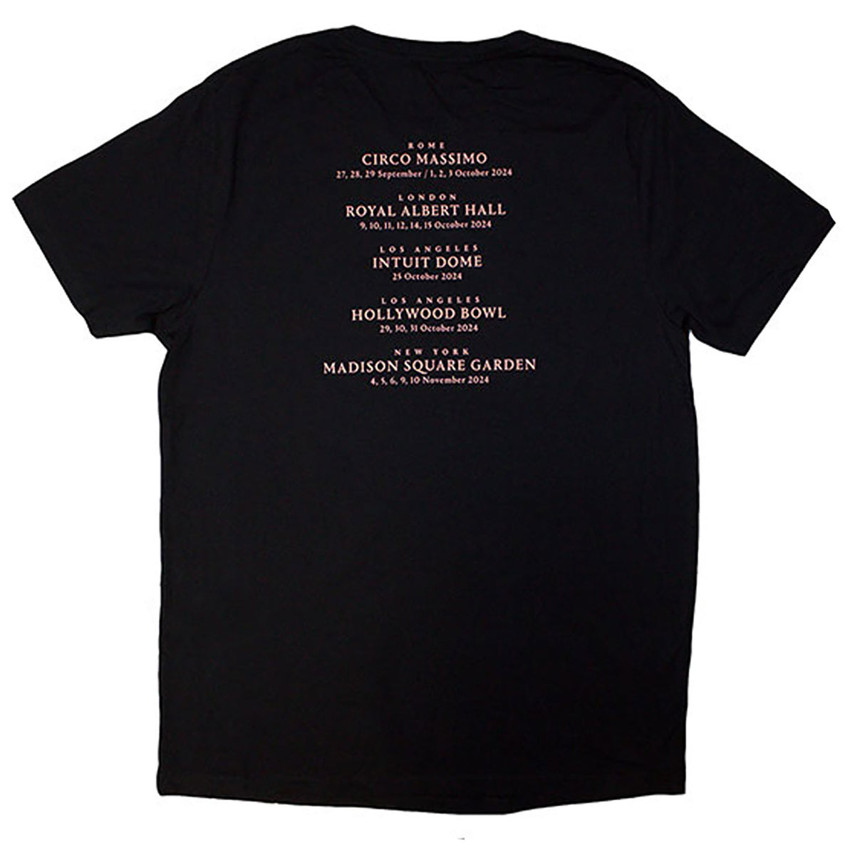 David Gilmour Luck & Strange London T-shirt Back