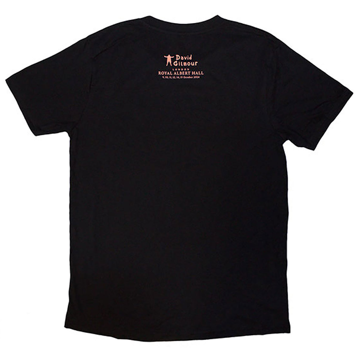 David Gilmour Luck & Strange London 2 T-shirt Back