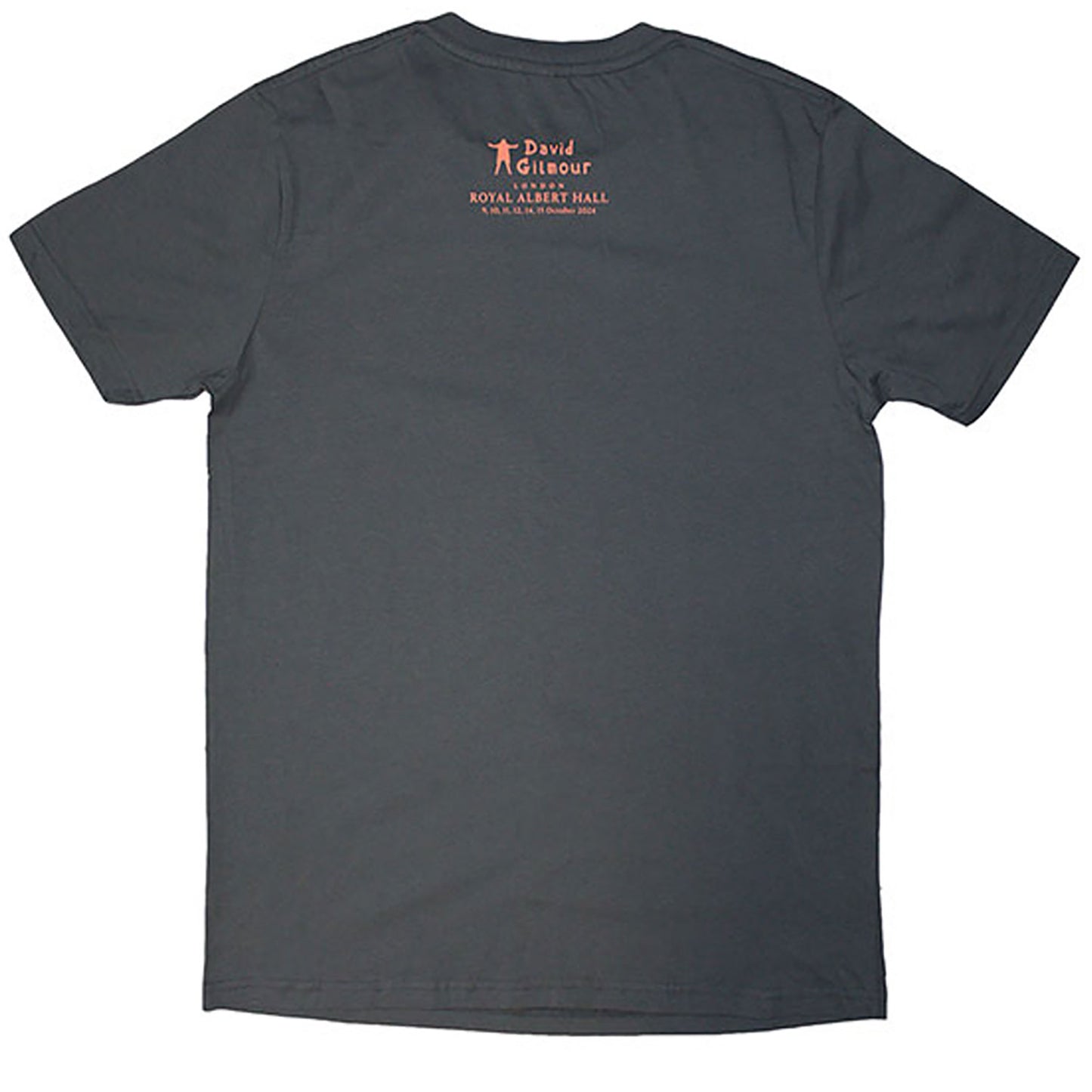 David Gilmour Luck & Strange London 2 T-shirt Back