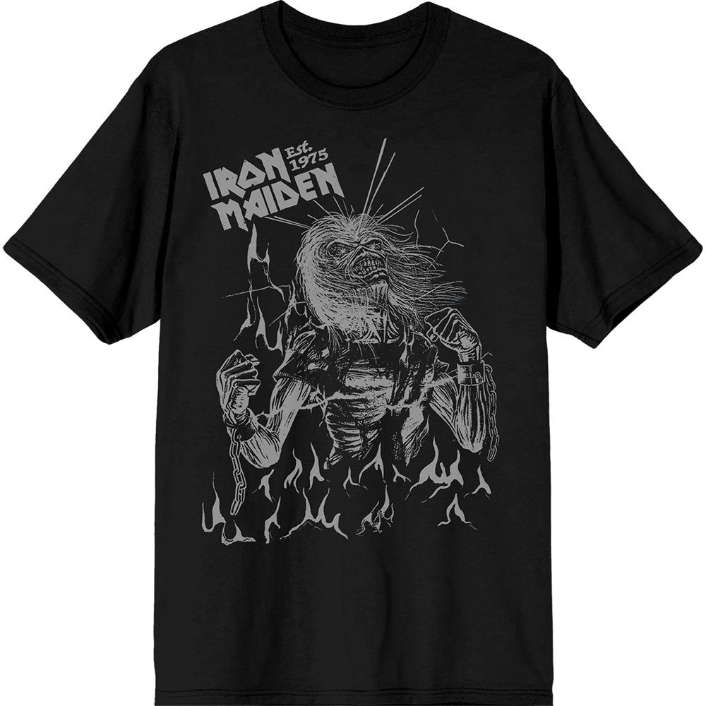 Iron Maiden Est. 1975 Life After Death Flames T-shirt Front