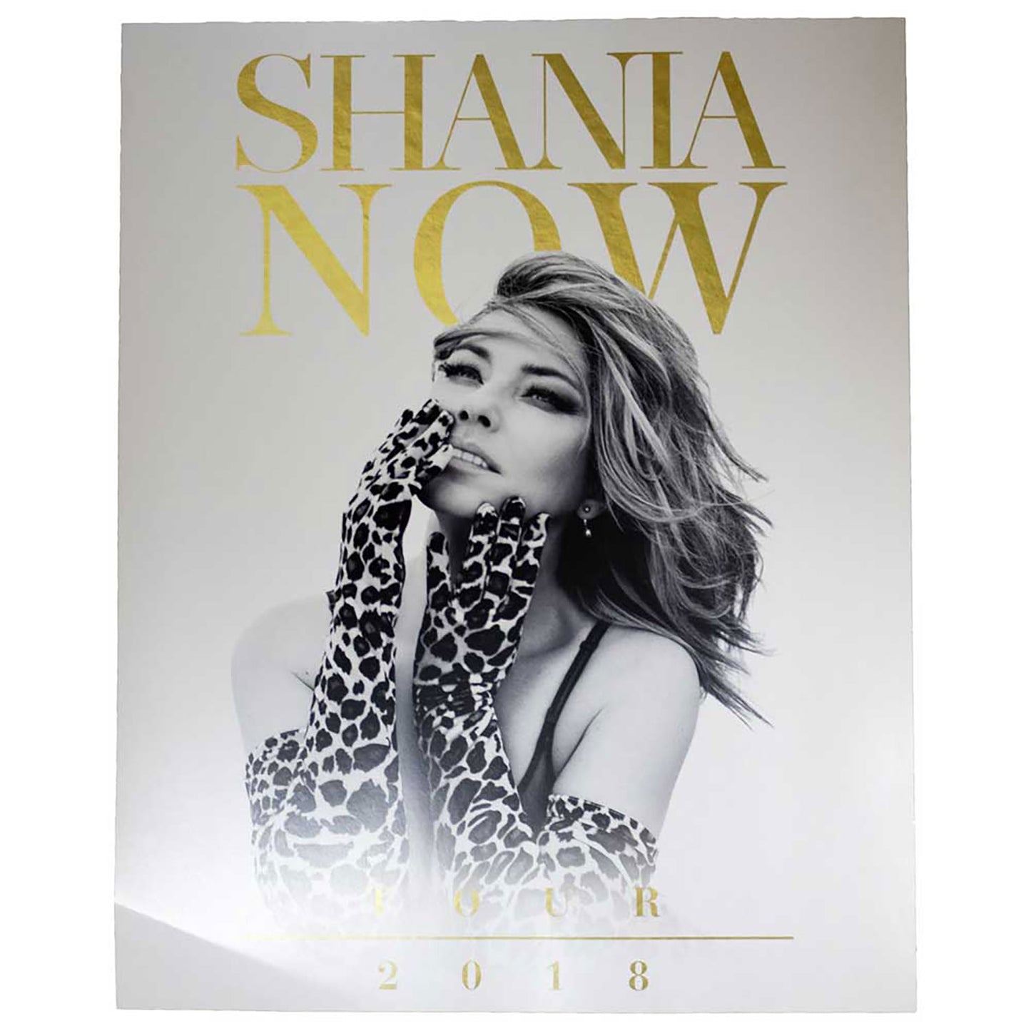 Shania Twain Tour 2018 Domestic Poster Front