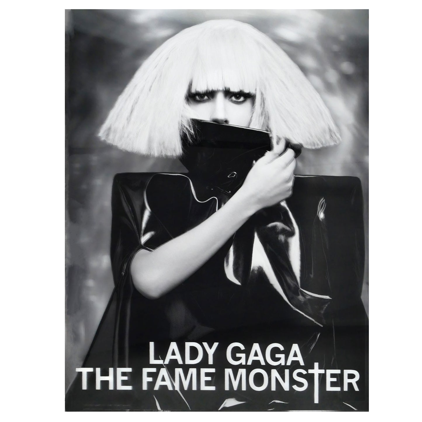 Lady Gaga THE FAME MONSTER Flip Image Concert Promo Poster Alt 2