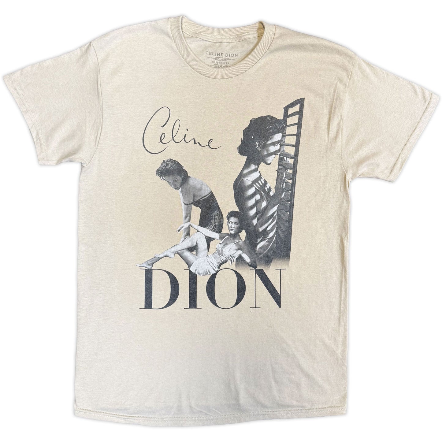Celine Dion Homage T-shirt Front