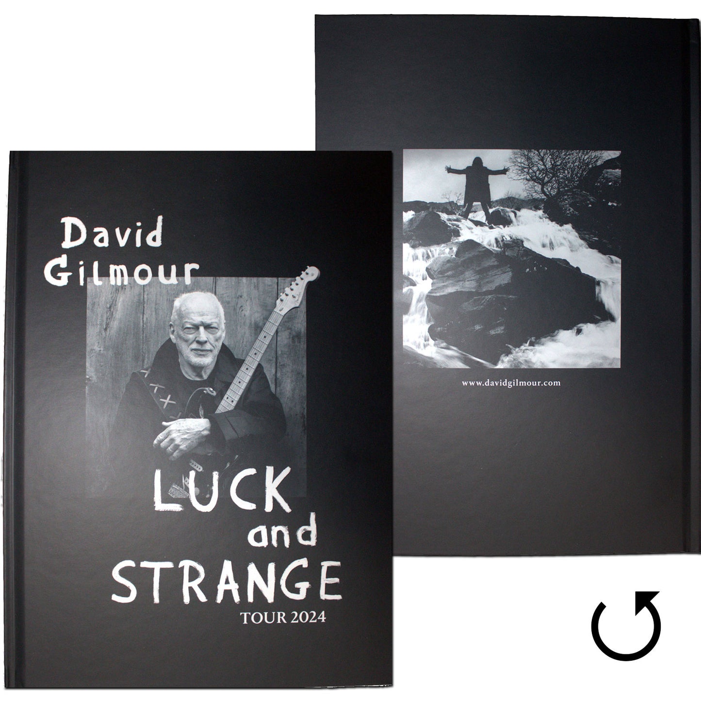 David Gilmour Luck & Strange Book Front