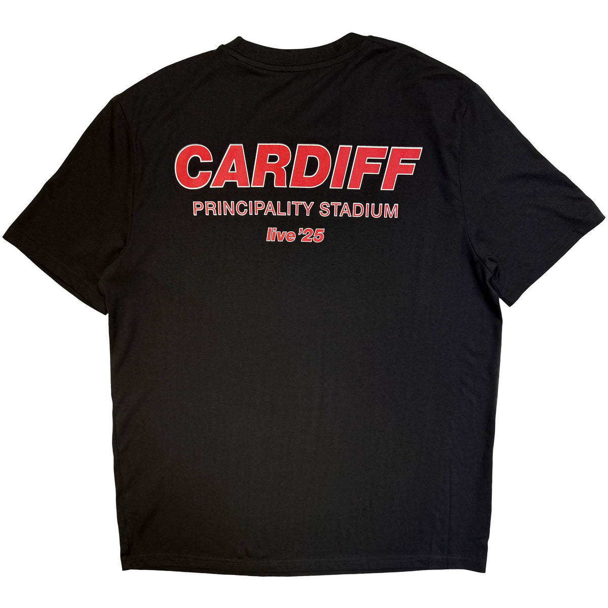 Oasis Cardiff City Pop Up T-shirt Back