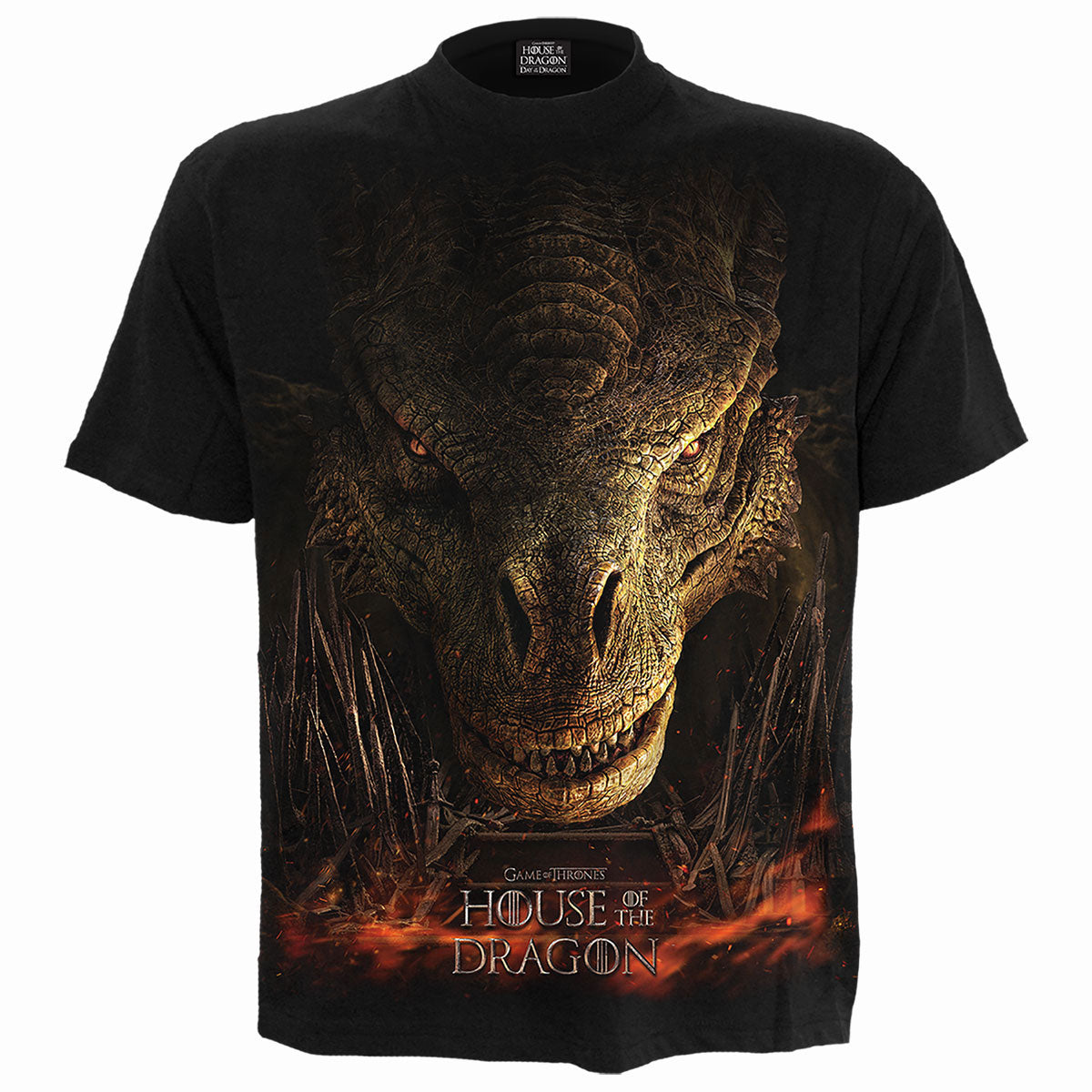 Dragon Throne T-shirt
