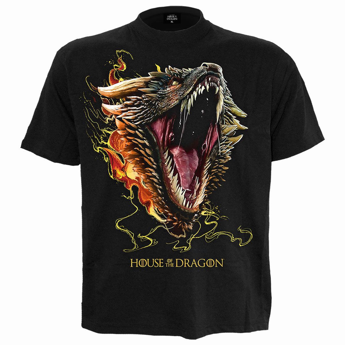 House Of The Dragon Hod2 Drogon T-shirt Front